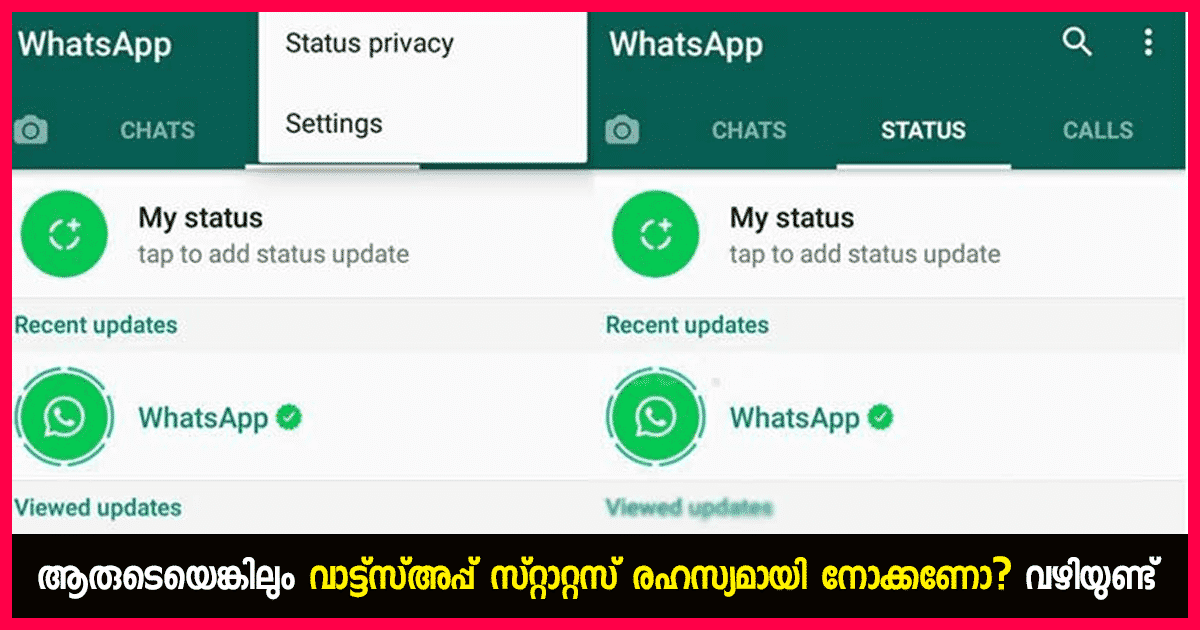 check whatsapp status
